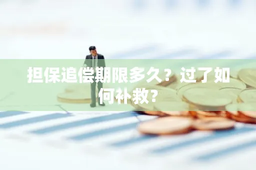 苏州担保追偿期限多久?过了如何补救?